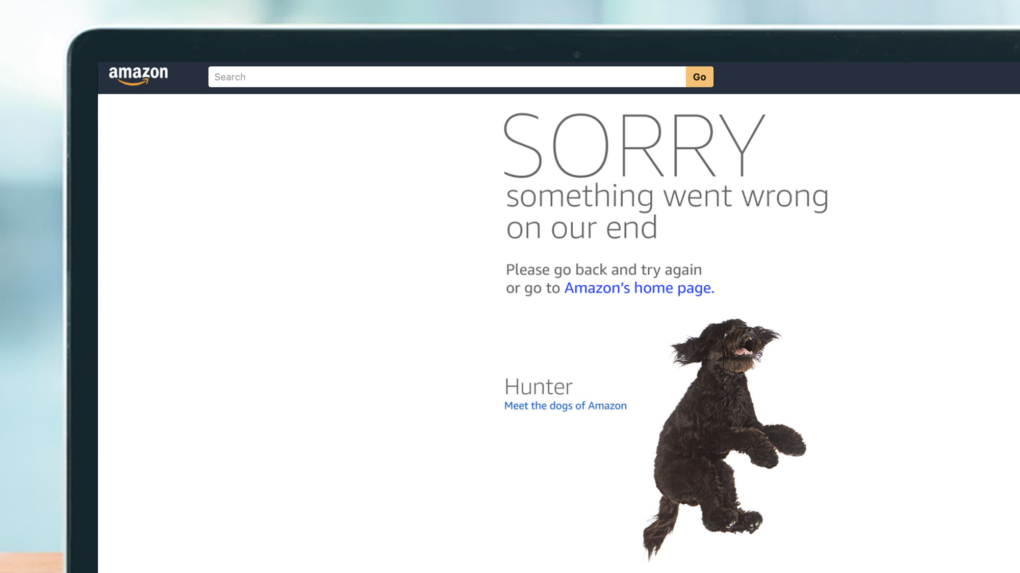 An error page on Amazon with a picture of a dog