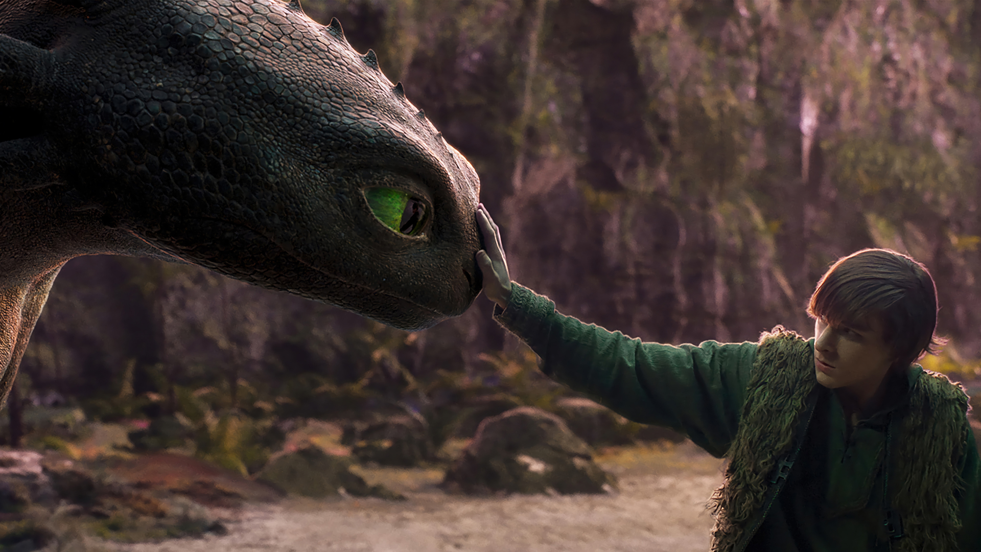 Hiccup looking at Toothless as he holds his right hand on its nose in Universal's How to Train Your Dragon remake