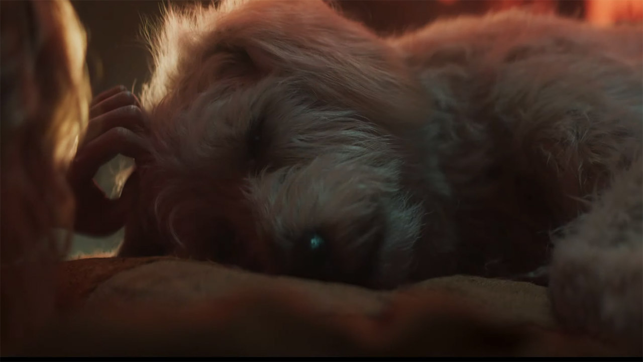 A close up of an injured Krypto lying on a table in Supergirl