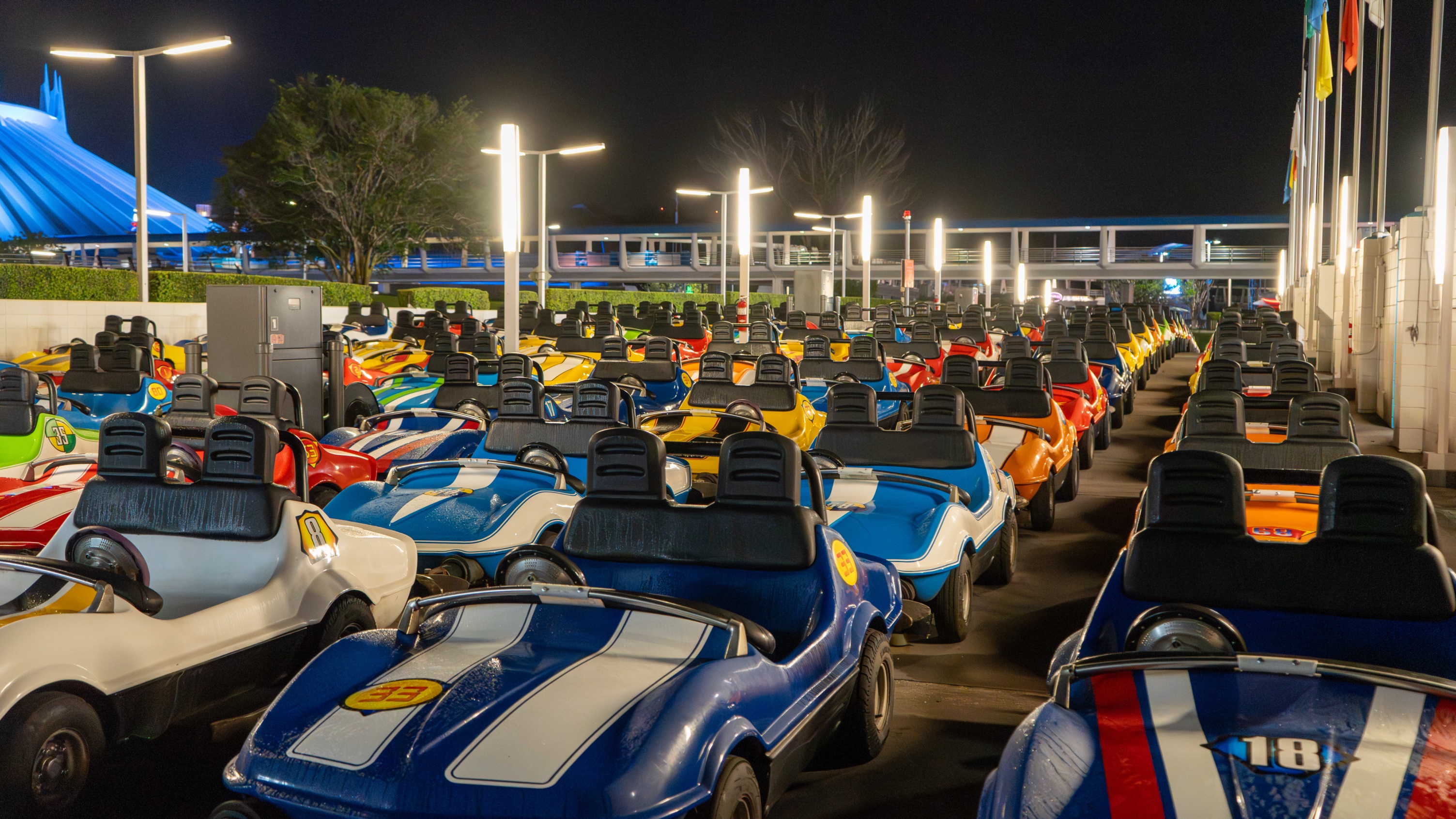 Disney World Magic Kingdom Overnight