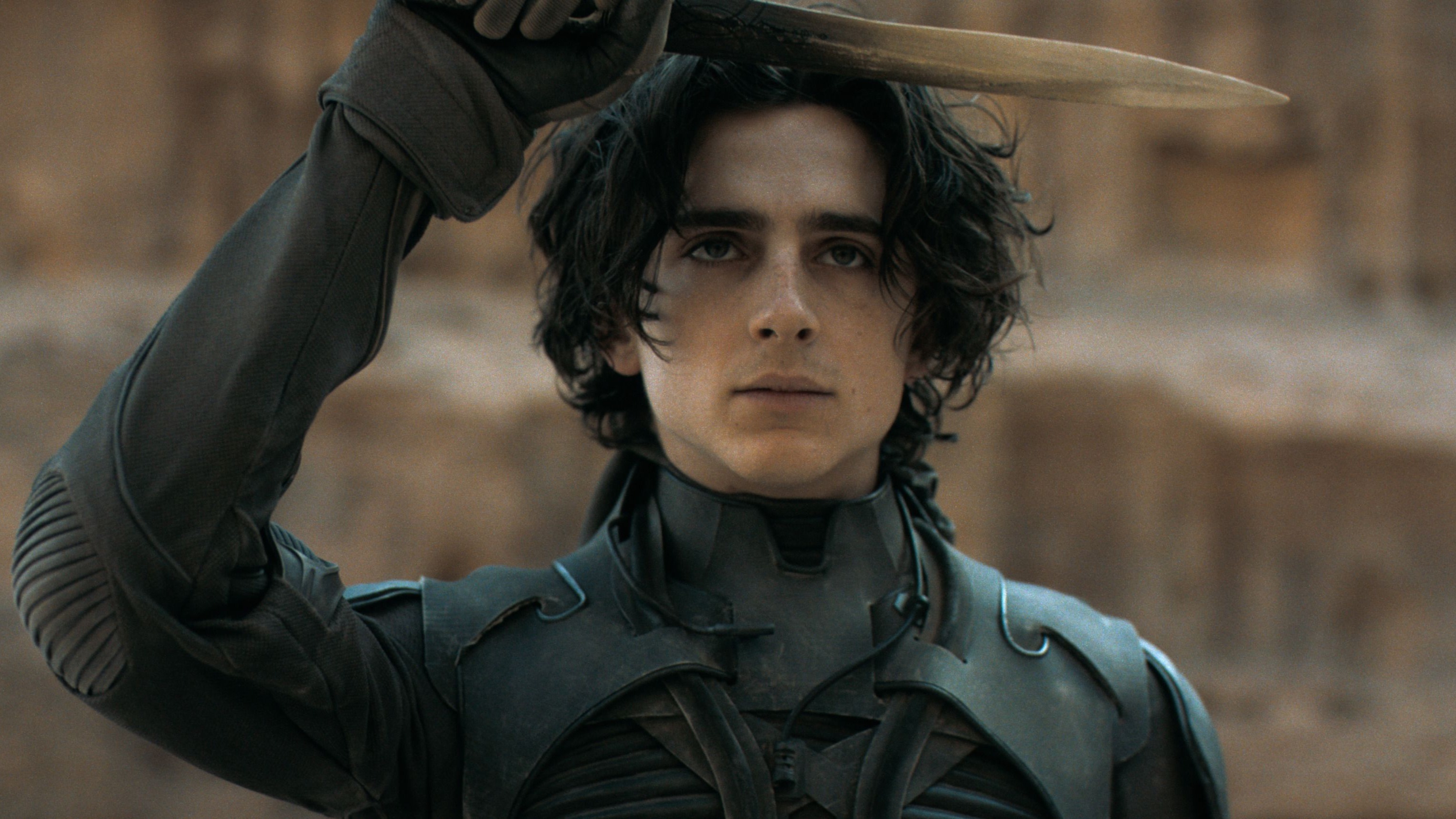 Timoth&eacute;e Chalamet in Dune